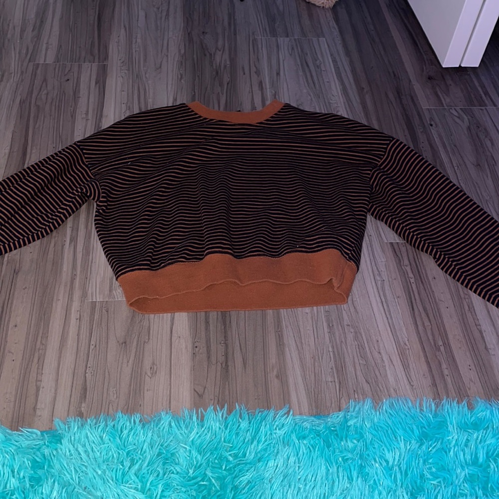 Brown-ish Cropped Long-Sleeve, Crew neck.